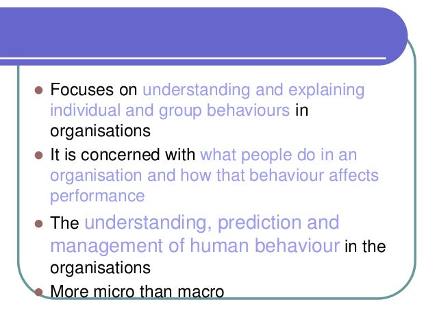 mb0038 management process and organisation behavior mb0038 management process and organisation behavior