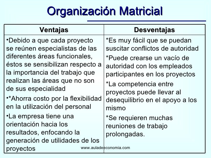 Organización