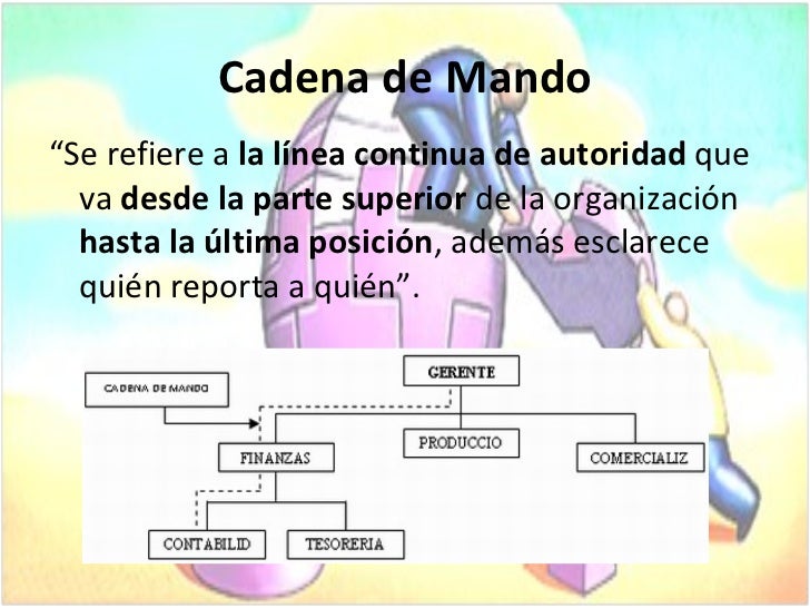 Organización como fase del proceso administrativo
