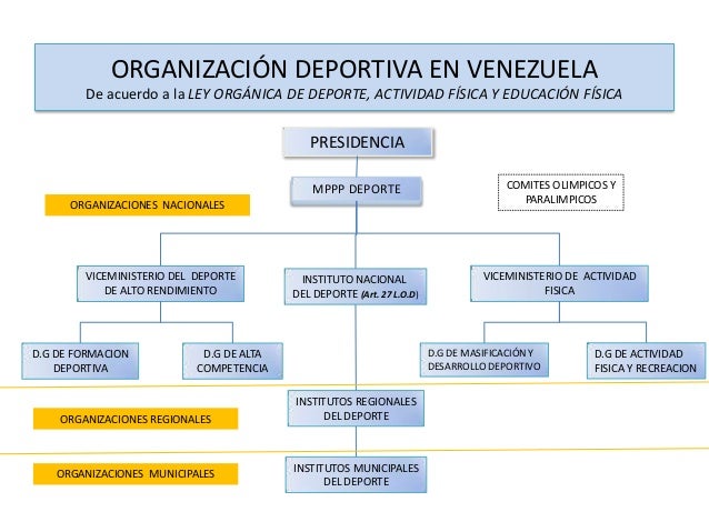 Organización deportiva en venezuela