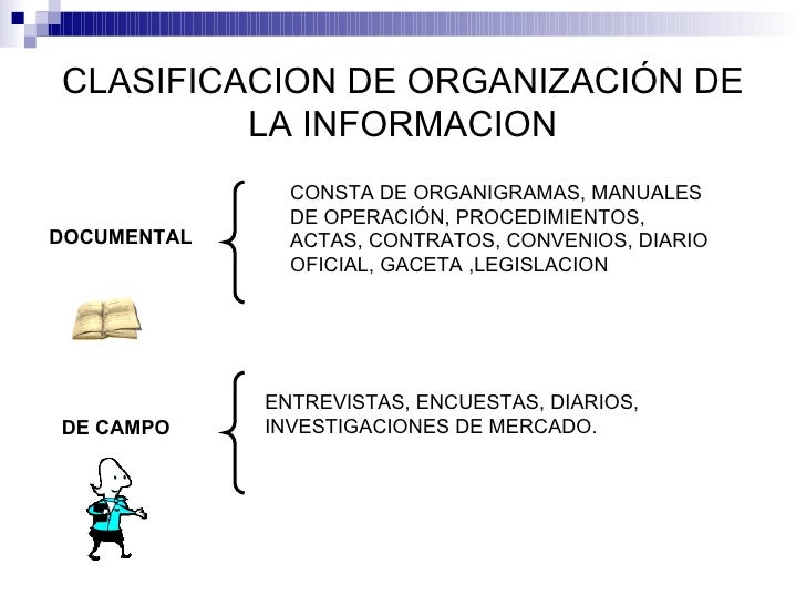 Organizacion De La Informacion