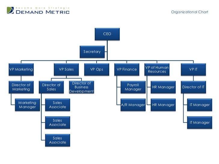 Organisation Chart Templates