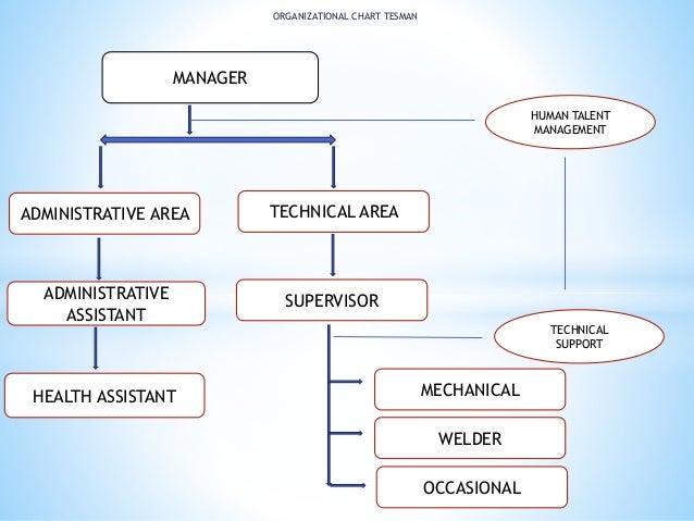 OrganizationalChartTesman OrganizationalChartTesman