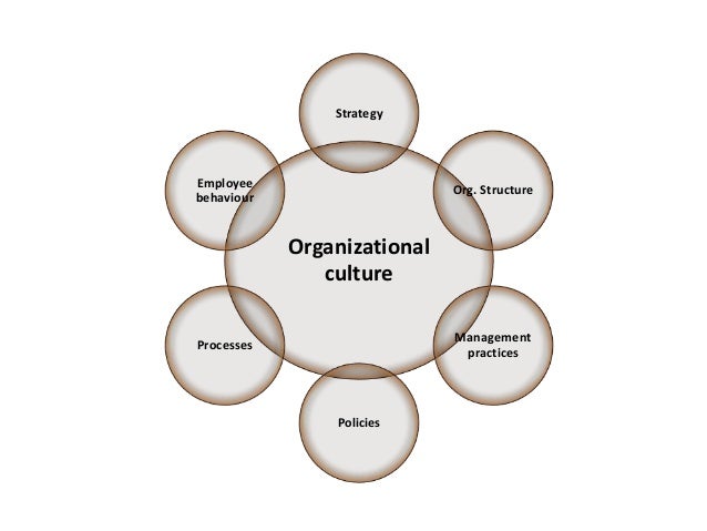 organizational culture and values in nursing How can individual and organizational values be organizational values tend to be about in an achievement culture or a person who values power may find a. organizational culture and values in nursing How can individual and organizational values be organizational values tend to be about in an achievement culture or a person who values power may find a.