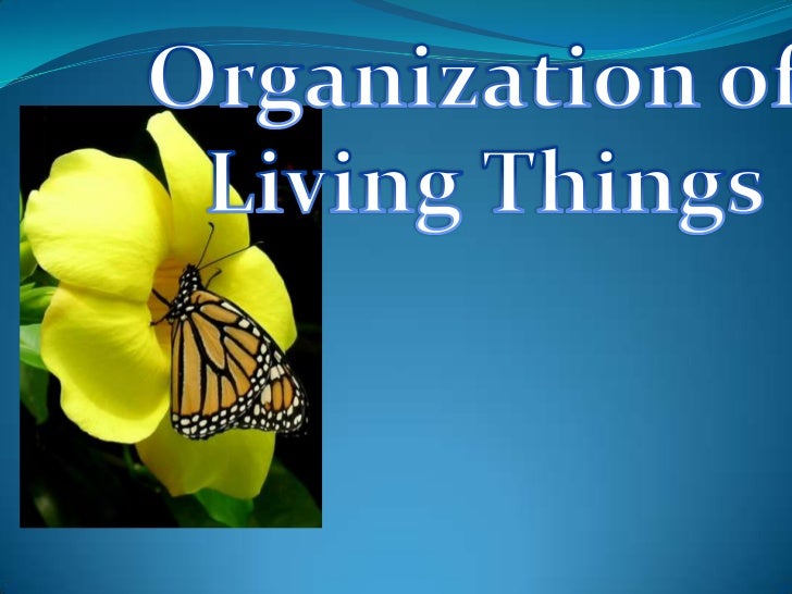 Organization of Living Things<br />
