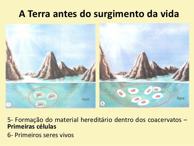 Origem do primeiro ser vivo na terra