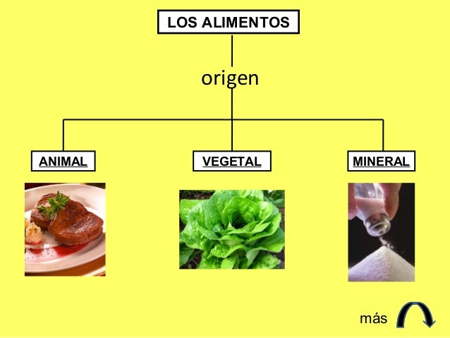 Origen alimentos Origen alimentos
