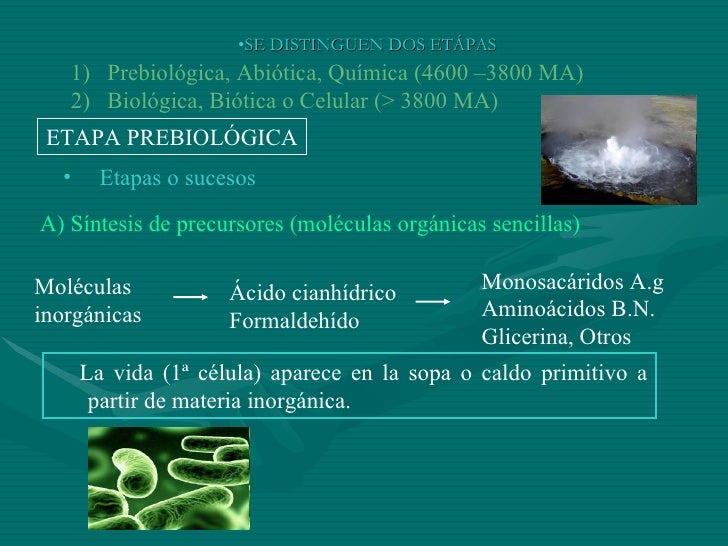 Buku Kimia Organik Sintesis Organica