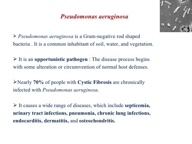 cystic fibrosis thesis cystic fibrosis thesis