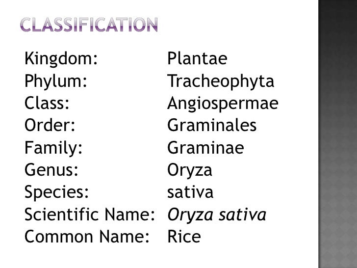 BIOLOGICAL SCIENCEorigin of life