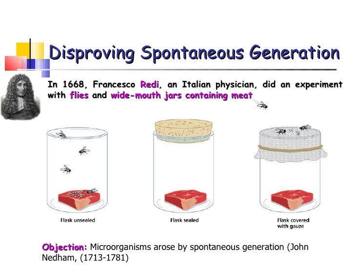 who disproved the theory of spontaneous generation