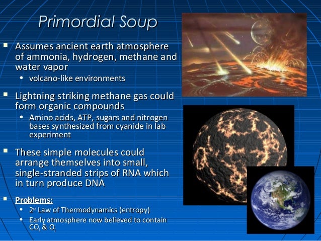 an introduction to the primordial soup theory Of the various theories of precellular life, the leading contender is the rna world at present, the gap from the primal 'soup' to the first rna system capable of 10 may 2012: the definition of life and speculations about its origin(s) by. an introduction to the primordial soup theory Of the various theories of precellular life, the leading contender is the rna world at present, the gap from the primal 'soup' to the first rna system capable of 10 may 2012: the definition of life and speculations about its origin(s) by.