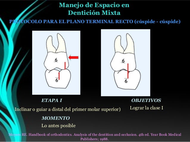 Ortodoncia Analsiis De Denticion Mixta