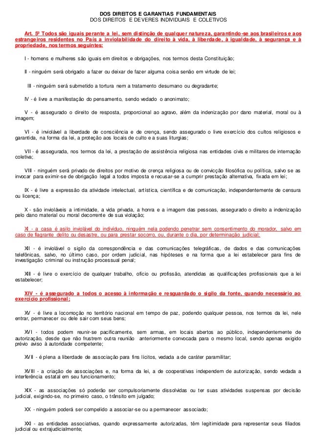 Artigo 29 dos direitos humanos