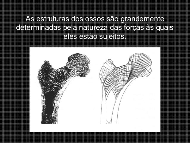 Observação de uma pornografia com pequenos pênis