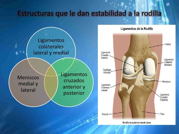 Duele la parte derecha de los riñones y da en la parte inferior