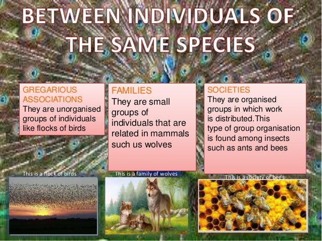 what are the three different types of symbiosis found in ecosystems