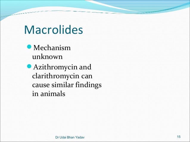 Azithromycin animals Azithromycin animals
