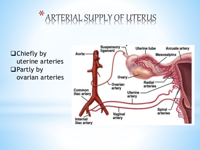 Symptoms your cervical cancer is lower back cervical cancer ribbon