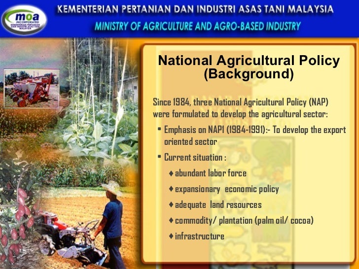National Agricultural Policy (Background) <ul><li>Since 1984, three National Agricultural Policy (NAP) were formulated to ...