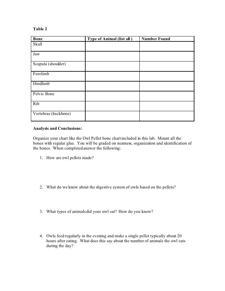 Worksheets Owl Pellet Dissection Worksheet collection of owl pellet lab worksheet sharebrowse sharebrowse