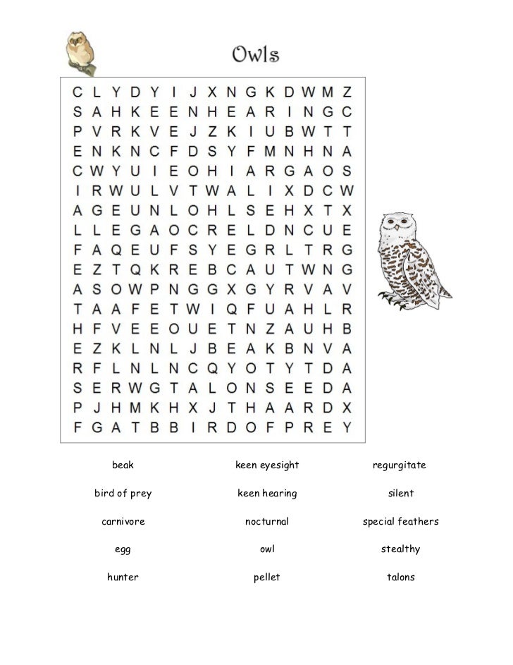 Worksheets Owl Pellet Dissection Worksheet owl pellet worksheet sharebrowse pellets worksheets workbook site