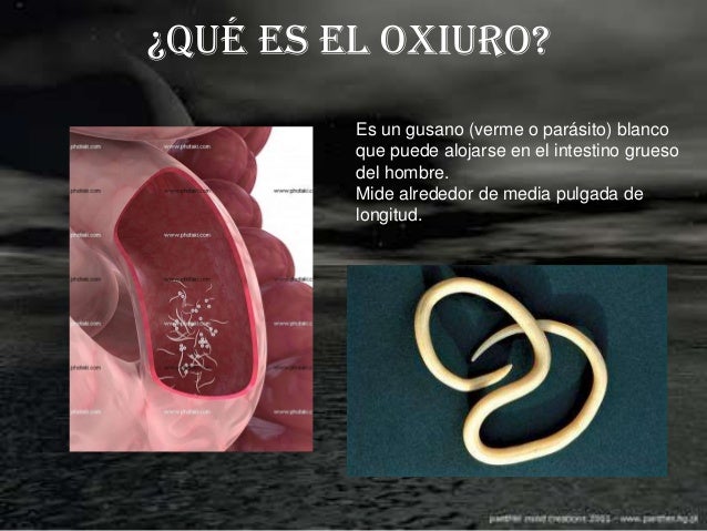 Las lamblias y los análisis a la hepatitis