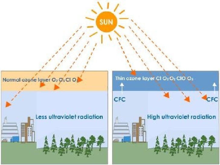 the ozone layer essay Short essay on ozone layer depletion a layer of ozone in the stratosphere is a boon as it shields the passage of the dangerous short essay on environmental. the ozone layer essay Short essay on ozone layer depletion a layer of ozone in the stratosphere is a boon as it shields the passage of the dangerous short essay on environmental.