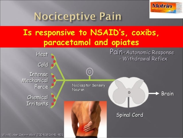 pain essay pain essay