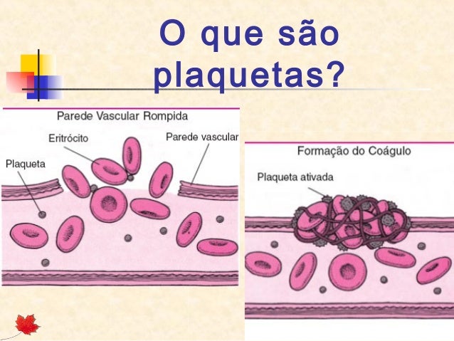 Sangue