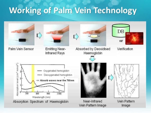 palm vein technology essay Working with fujitsu, microsoft is further embracing biometric technology with the implementation of a palm-vein authentication system. palm vein technology essay Working with fujitsu, microsoft is further embracing biometric technology with the implementation of a palm-vein authentication system.