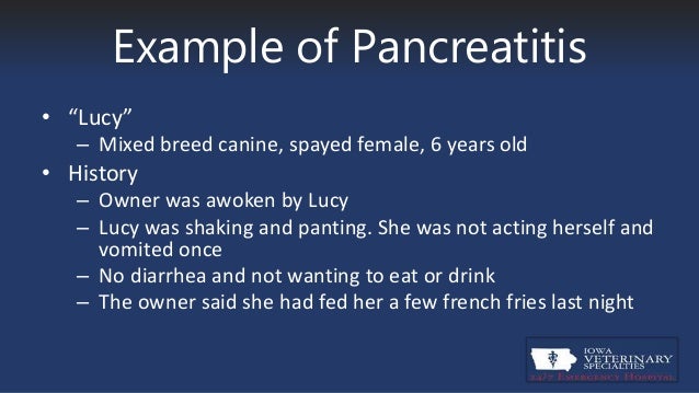 Canine Pancreatitis pancreatitis in canines