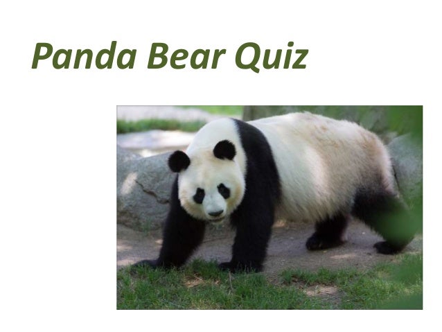 panda test panda test