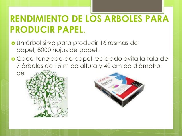 Explotación de bosques para la obtención de Papel