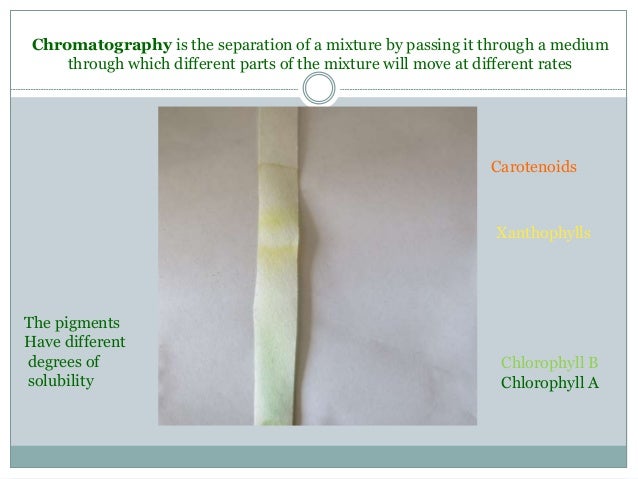 paper chromatography