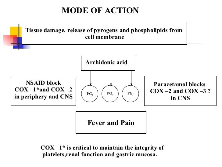 Mode Of Action Of Tadalafil
