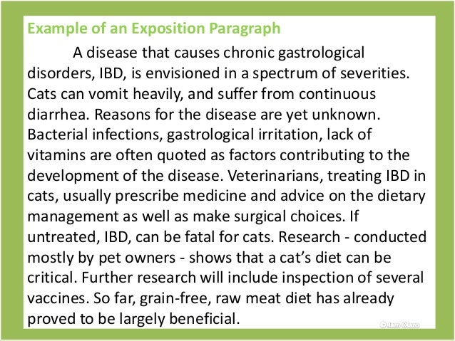 Exposition Essay Examples