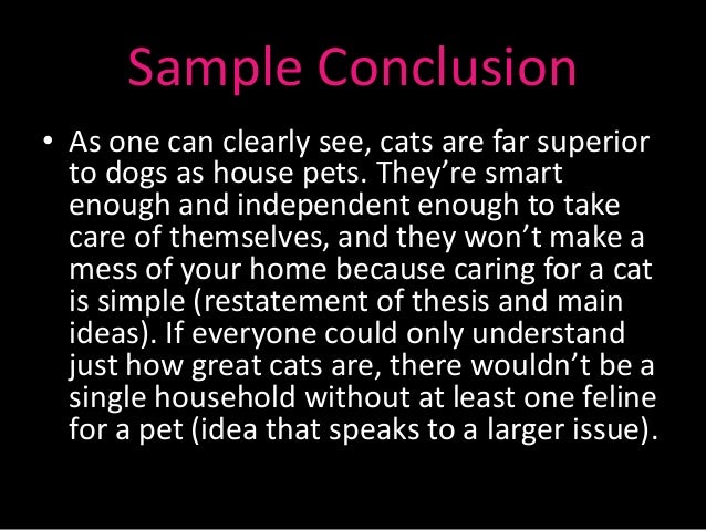 Essay on pet animals cat