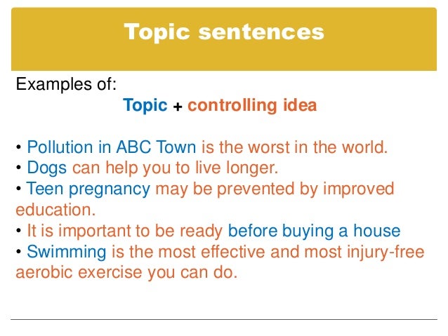 Do essays have paragraphs