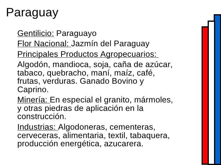 Cual Es El Gentilicio De Paraguay