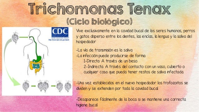 Mastigophora (Giardia lamblia y Trichomonas)