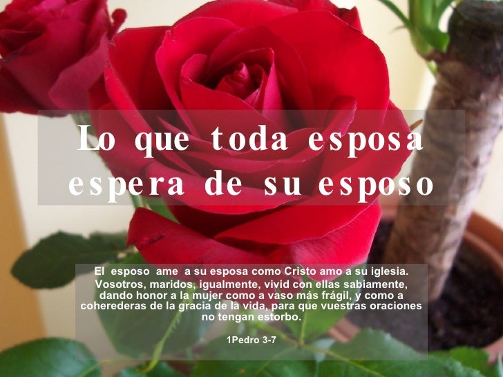 ESPERA CONYUGE ESPOSA espera conyuge esposa: