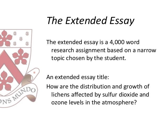 Villain essay