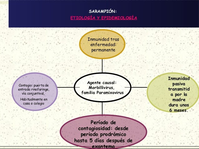 cadena epidemiologica paperas parotiditis sarion rubeola cadena epidemiologica paperas parotiditis sarion rubeola