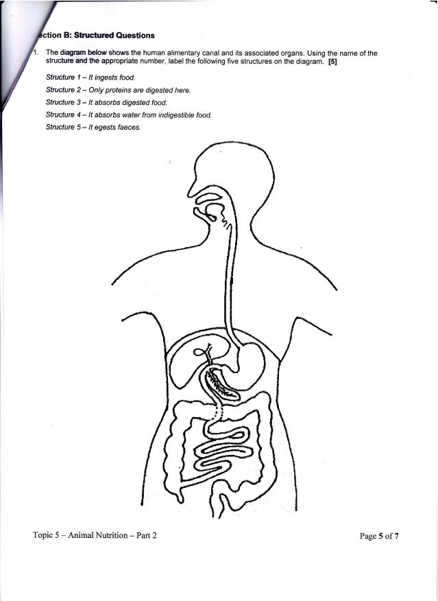M U0026c Digestion Assignment Part 2
