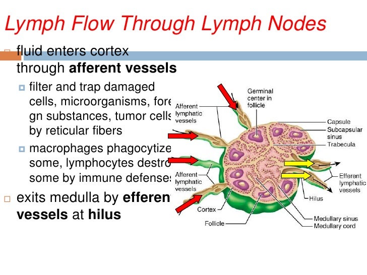 Pattern of inflammatory diseases in lymph node biopsy