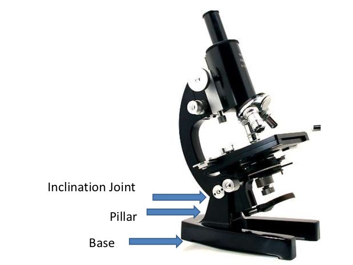 Parts and functions of a compound microscope