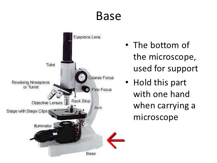 Parts of a microscope