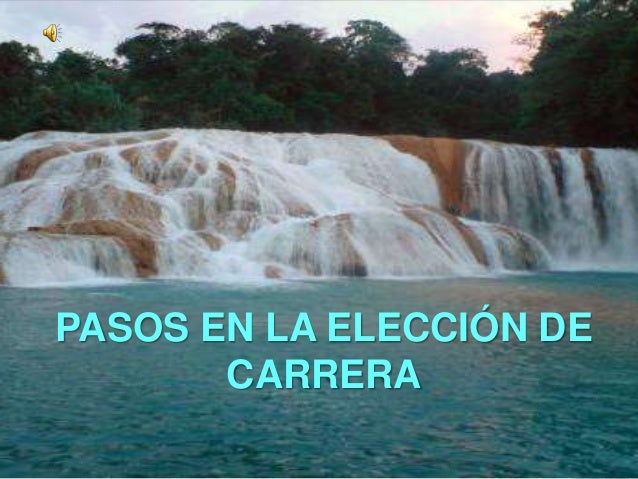 ELECCION CARRERA eleccion carrera: