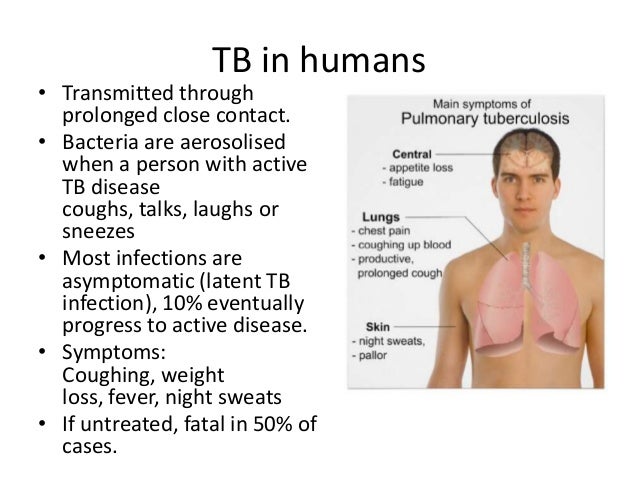 transmission of livestock diseases to humans essay Climate change and animal health thus contribute to the transmission of rvf among humans counter the spread of high-impact infectious livestock diseases such. transmission of livestock diseases to humans essay Climate change and animal health thus contribute to the transmission of rvf among humans counter the spread of high-impact infectious livestock diseases such.